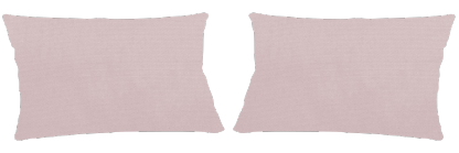Pale Rose - Image 2